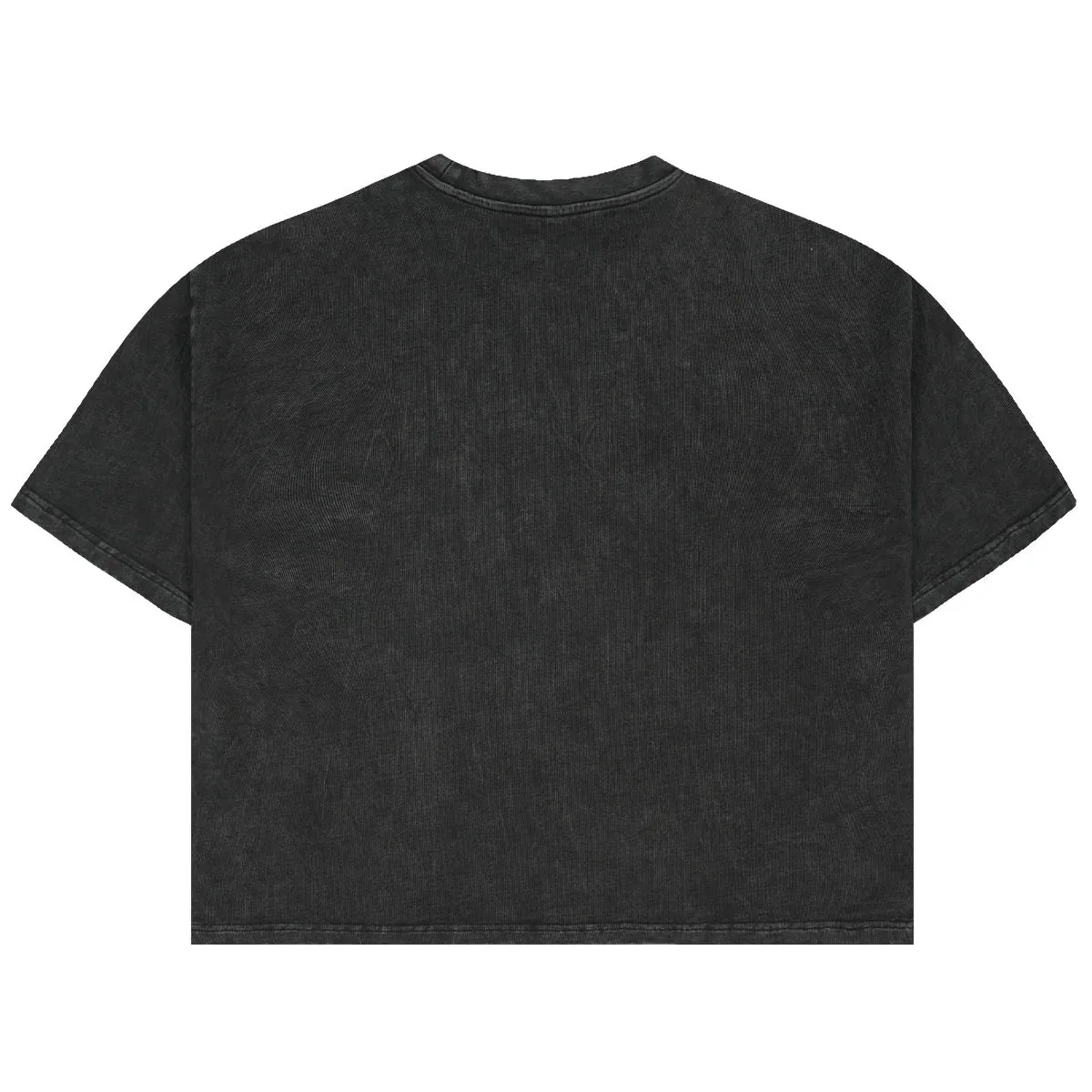 Back view of acid-wash cropped graphic t-shirt